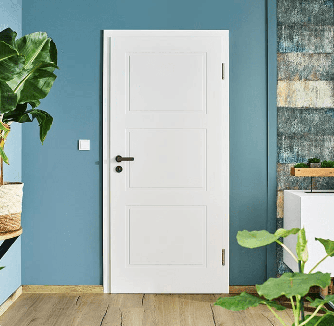 White interior door with black handle set in a blue-walled room featuring plants and wooden flooring.